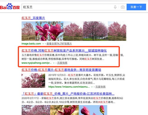 深圳網(wǎng)絡(luò)推廣公司 深圳網(wǎng)站推廣公司新聞中心 第10頁 深圳富海360總部
