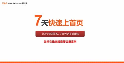 整站優(yōu)化公司哪些好 深圳優(yōu)化公司 天助網(wǎng)真正霸屏