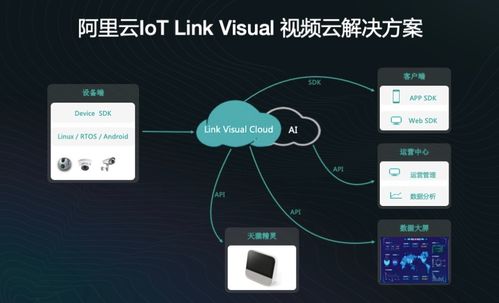不止數字 過去24小時特別解讀 2021.10.25