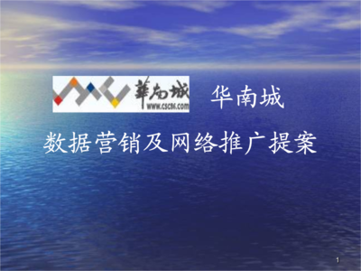 數據營銷及網絡推廣提案.ppt